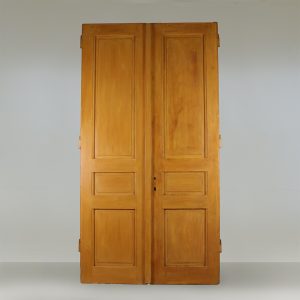 SALONTÜR DOPPELFLÜGLIG